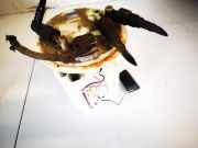 Kraftstoffpumpe Subaru Outback, III 2005.01 - 2009.06 42021ag020,1019618550