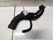 Intercooler Schlauch Chevrolet Captiva, 2006.01 - 2011.06 96628984,96628984