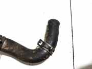 Kühlerschlauch Volkswagen Touareg, 2002.10 - 2007.09 Gebraucht, BAC