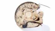 Achsschenkel Radnabe - Hinten Rechts Audi A6, C6 2008.10 - 2011.08 facelift Gebraucht,