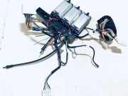 Stellmotor Stellelement Sitzverstellung Verstellung - Vorne Linke Renault Laguna, I 1994.01 - 2001.03 Gebraucht,