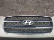 K?hlergrill Frontgrill K?hlergitter Hyundai Santa Fe, 2006.03 - 2012.09 Gebraucht,