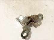 Türscharnier Vorne Renault Scenic, III 2009.02 - 2013.06 Gebraucht,