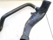 Intercooler Schlauch Citroen C8, I 2002.07 - 2008.06 1485369080,