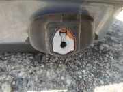 Türfangband Türbremse Türstopper - Hinten Linke Renault Vel Satis, 2002.06 - 2009.12 Gebraucht,