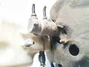 Hauptbremszylinder Citroen DS3, I 2009.01 - 2016.06 0204054032,