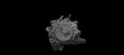 Unterdruckpumpe Vacuumpumpe Bremsanlage Volkswagen Golf Plus, 2005.01 - 2008.05 03g145209,090307 c1 1 BKD