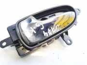 Türinnengriff - Hinten Linke Nissan Leaf, I 2010 - 2017.12 Gebraucht,