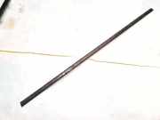 Zierleiste Leiste - Hinten Linke Renault Scenic, II 2003.06 - 2006.06 Gebraucht,