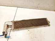 Kraftstoffkühler Kraftstoff Kühler Volkswagen Golf, V 2003.10 - 2008.10 1k0203491, BKD