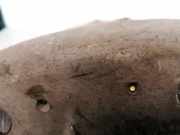 Innenspiegel Rückspiegel Audi A8, D3 2002.09 - 2005.6 e1010589, 385010