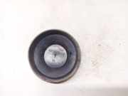 Blende Scheinwerfer - Vorne Nissan Primera, P12 2002.01 - 2008.12 205079C2,20-5079-C2 20-5079C2 205079C2