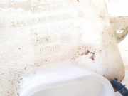 Scheibenwaschbeh?lter Vorne Wischwasserbeh?lter Dacia Logan, I 2004.09 - 2009.03 8200210002,82.00.609.549