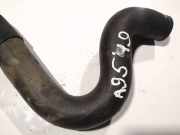 K?hlerschlauch Nissan Primera, P12 2002.01 - 2008.12 Gebraucht,