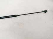 Gasfeder f?r Motorhaube Seat Toledo, 1999.04 - 2006.05 1m0823359a,