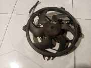 Kühlerlüfter Lüftermotor Peugeot 407, 2004.05 - 2010.12 Gebraucht,