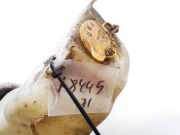 Ausgleichsbehälter Subaru Legacy, BE, BH, BT 1998.10 - 2003.09 Gebraucht,