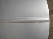 Zierleiste Tür Zier-Schutzleiste - Vorne Rechts Opel Vectra, C 2002.04 - 2005.10 Gebraucht,