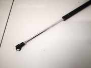 Gasdruckfeder Kofferraum Toyota Urban Cruiser 2009 - 2012 Gebraucht,