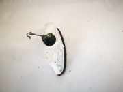 Glühlampe für Türleuchte - Vorne Rechts Renault Laguna, III 2007.10 - 2010.11 8200003263,