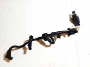 Zündkabel Ford Focus, 2004.11 - 2008.06 9661094180,