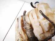 Waschwasserpumpe Scheibenreinigung Fiat Punto, 2005.10 - 2012.03 Gebraucht,