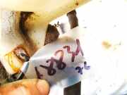 Ausgleichsbehälter Hyundai Sonata 2001 - 2008 254303k000, 25430-3k000