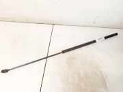 Gasfeder für Motorhaube Volvo S40, 2004.01 - 2007.03 9483570,