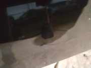 Waschwasserd?se Scheibenreinigung Volvo V50, 2004.04 - 2007.05 Gebraucht,