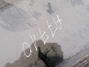 Schiebedach Glas Toyota RAV-4, II 2000.09 - 2005.11 Gebraucht,