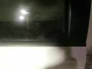 Zierleiste Leiste - Hinten Rechts Volkswagen Golf, VI 2008.10 - 2012.06 Gebraucht, CAY