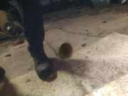 Waschwasserdüse Scheibenreinigung Dacia Logan, II 2012.10 --> Gebraucht,