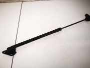 Gasdruckfeder Kofferraum Ford Focus, 2011.04 - 2018 BM51N406A10AD,BM51-N406A10-AD BM51N406A10AD