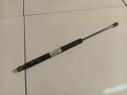 Gasdruckfeder Kofferraum Audi A6, C5 2001.08 - 2005.01 facelift Gebraucht,