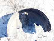 Radhausschale - Hinten Rechts Volvo V50, 2004.04 - 2007.05 30678140,