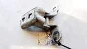 Türscharnier Hinten Renault Scenic, II 2003.06 - 2006.06 Gebraucht,