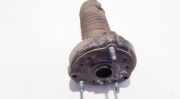 Sto?d?mpferaufnahme Federbeinlager - Vorne Rechts Mercedes-Benz W211, 2002.03 - 2006.04 2113200026,2303230020