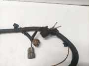 Kabelbaum Hyundai Santa Fe, 2000.11 - 2006.03 Gebraucht,