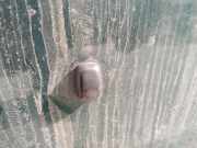 Waschwasserdüse Scheibenreinigung Subaru Forester, I 1997.01 - 2000.06 Gebraucht,