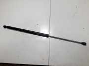 Gasdruckfeder Kofferraum Fiat Ulysse, II 2002.06 - 2014.12 Gebraucht,