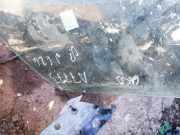 Seitenscheibe - Hinten Rechts Mazda 626, 1997.04 - 2002.10 Gebraucht ,