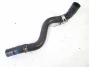 Kühlerschlauch Mazda Xedos-9, 1993.07 - 1998.06 Gebraucht,