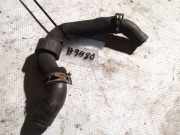 Kühlerschlauch Volkswagen Phaeton, 2007 - 2011 facelift Gebraucht, CEXA