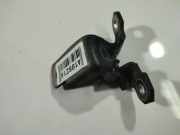 Türscharnier Hinten Renault Scenic, III 2009.02 - 2013.06 Gebraucht,