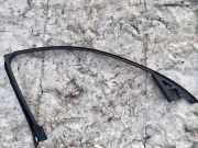 Zierleiste Leiste - Vorne Rechts BMW 3-Series, E90 E91 E93 2005.02 - 2009.01 7060206, 608290-10