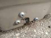 T?rschloss Stangen - Vorne Linke Alfa-Romeo GT, 2003.11 - 2010.09 Gebraucht,