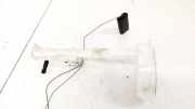 Kraftstoffpumpe Nissan Qashqai, I 2006.01 - 2010.06 25060JD50B,