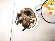 Kraftstoffpumpe Citroen C5, II 2008.02 - 2011.01 Gebraucht,