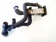 Abgaskühler AGR-Kühler Renault Scenic, II 2003.06 - 2006.06 8200316949,7700107471 7284300500 03t211