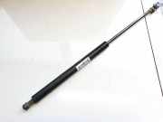 Gasdruckfeder Kofferraum Mitsubishi Endeavor 2004 - 2011 Gebraucht,